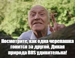 NNDrozdov.png