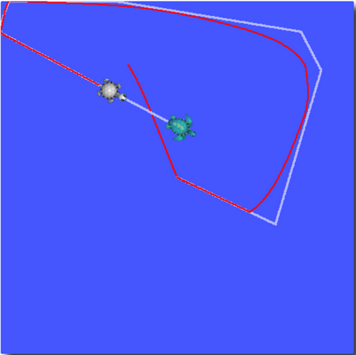 turtle-tf-chasing.png