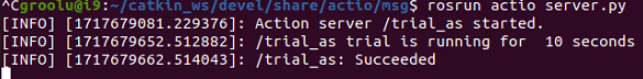 action_server_ended.png