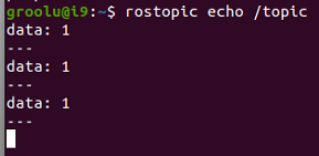 rostopic_echo.png