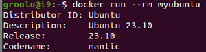 myubuntu_output.png